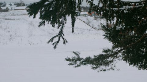 Зима пришла ❄️❄️❄️ Заболотная (13 декабря 2025г.)