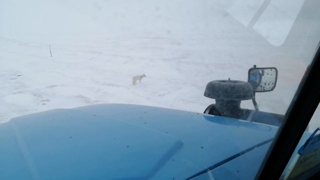 A4f8b4d2fc599b76b8ec01c8a7c59981