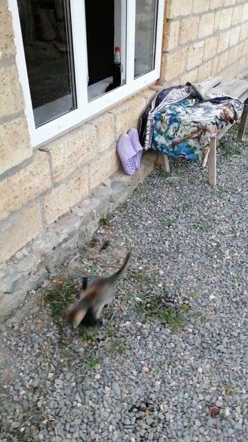 34544e520d9f581e6c4015dbb8603333