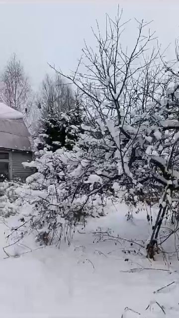 Продажа дачи г. Солнечногорск. Купить дачу в Солнечногорске #недвижимость #дача