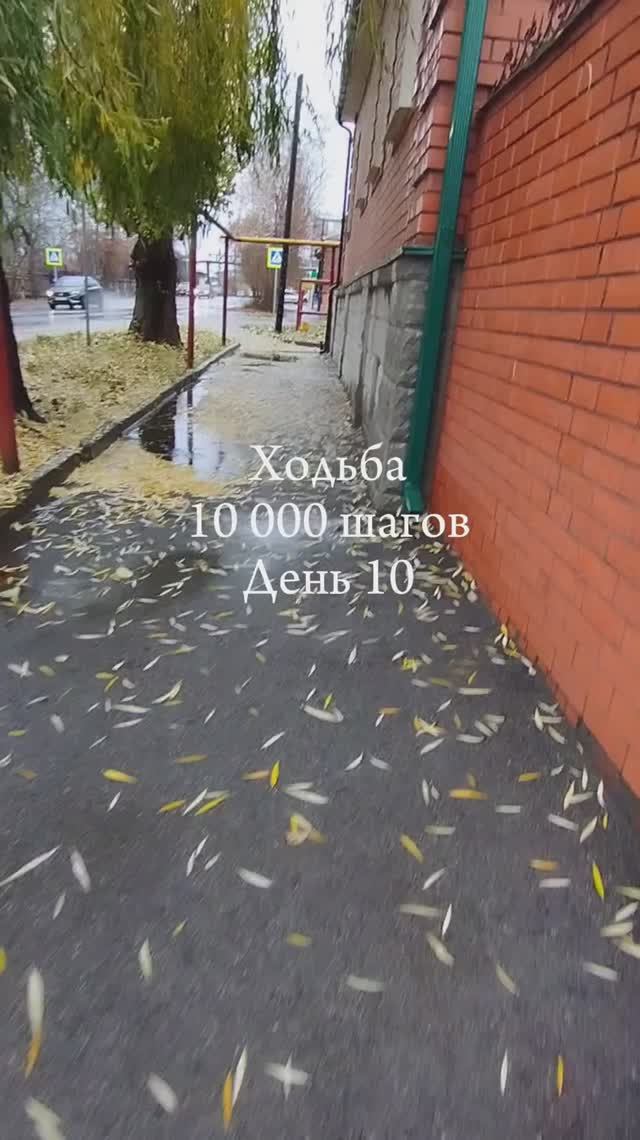 День 10. Ходьба #10000шагов