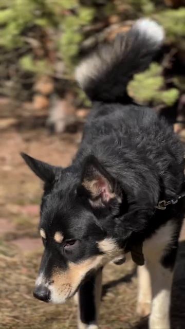 Леша ищет дом 7