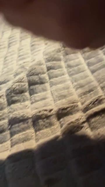 Мира, хомячок!!!