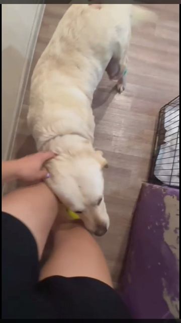 Булочка 💔.mp4