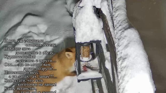 Нет, не веган я!!!