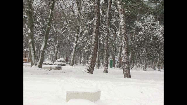 Следующая станция АНАПА