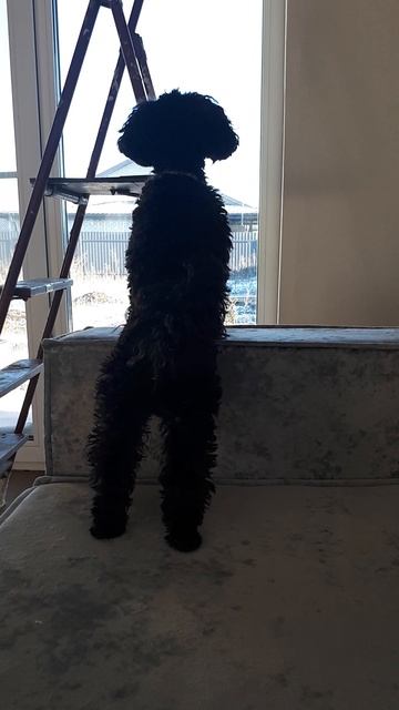 она поцеловала вас💗💋