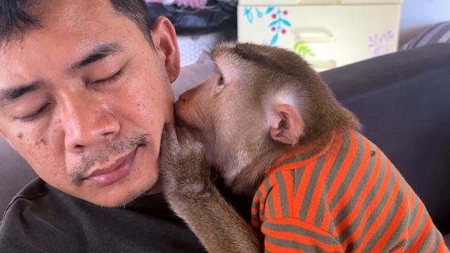 Успокаивающий уход от обезьянки | ASMR- Груминг для быстрого засыпания