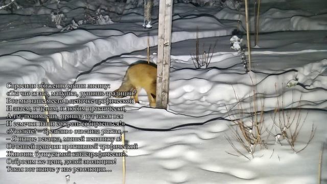 Революционная ситуация в нашей ресторации