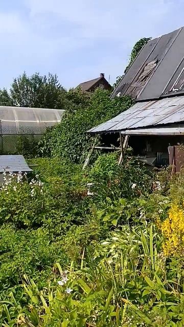 Продажа дачи п.Смирновка, СНТ Солнечное. Купить дачу г. Солнечногорск