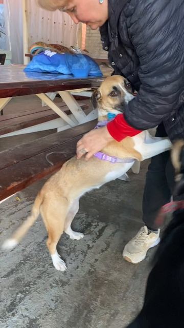 Крошечная Тильда ищет семью❤️