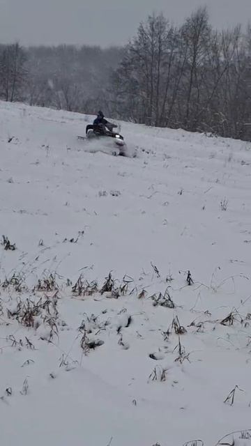Снегоход РЫСЬ 600 производства БТС преодолевает снежные просторы г.Набережные Челны 👍