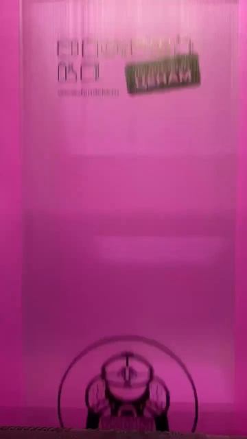 Праздничный пакет Домлекс!