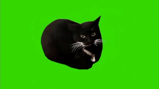 441.mp4