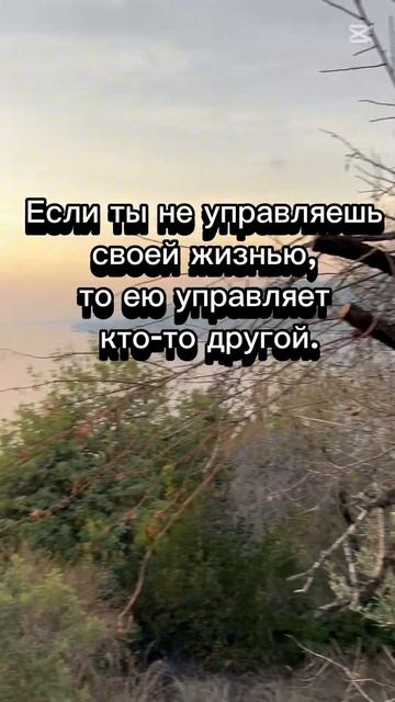 Режиссер своей жизни