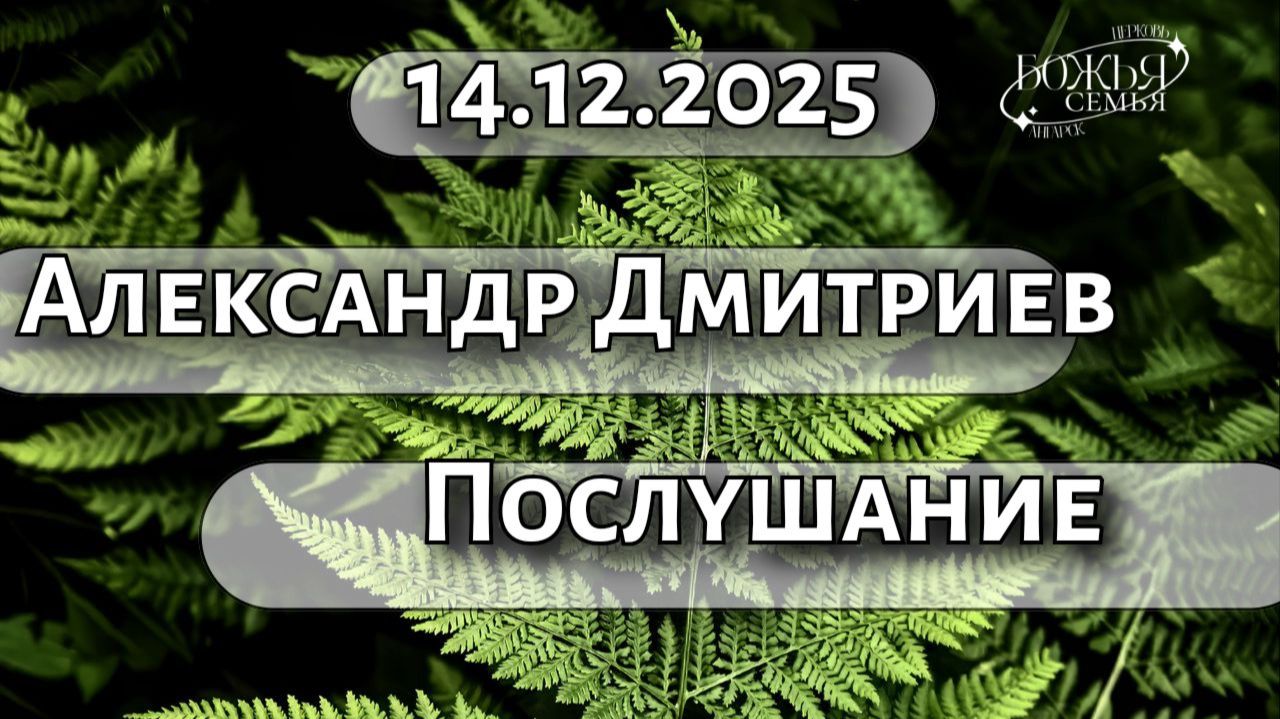 Александр Дмитриев  Послушание 14.12.2025