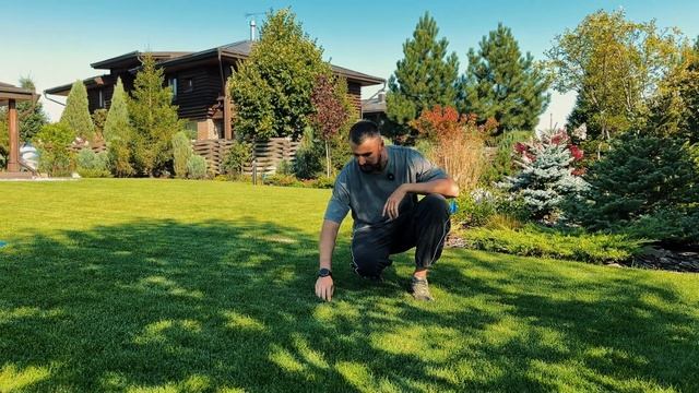 Как подготовить участок к зиме правильно | Чек-лист осенних работ от Green Land