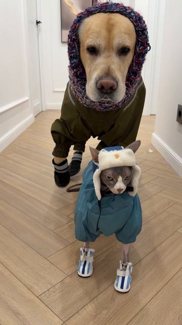 Точно не замерзнет 😁