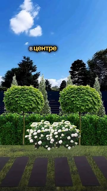 Чем заменить туи?