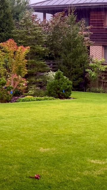 Преображение участка за три года ￼