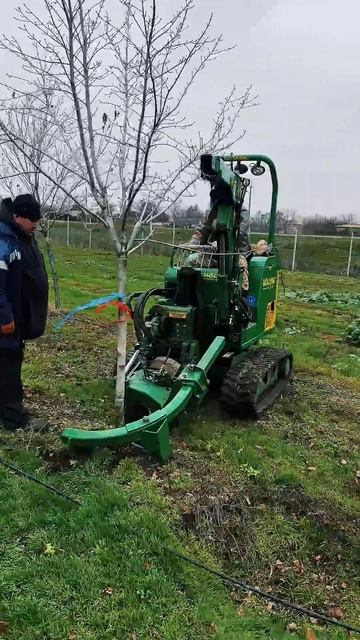 Как капают растения в профессиональных питомниках