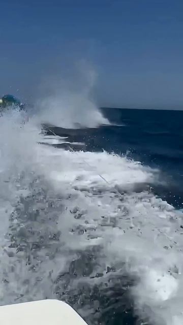 E37e12053cc9edcaf361e8697682e052