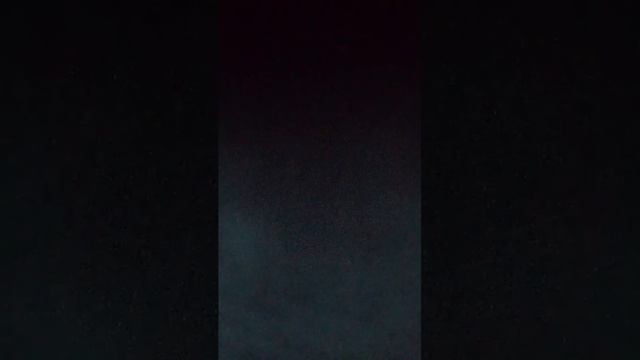 Ника Вероника