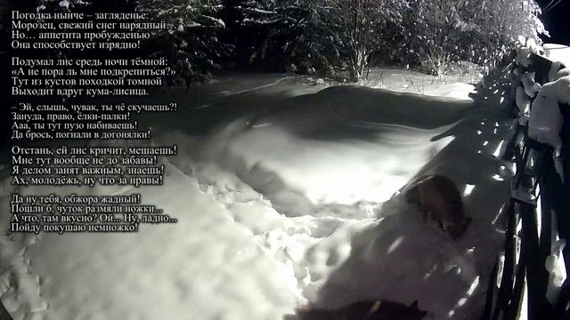 Очередные лисьи похождения