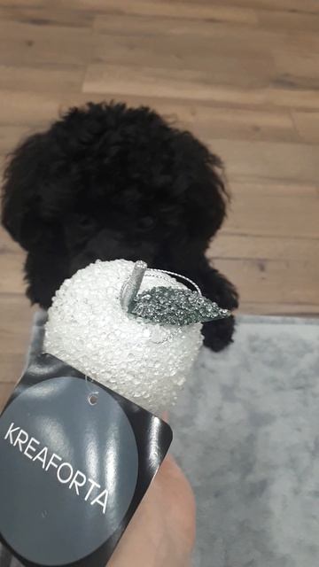 новогоднее яблочко во льду и луначка💗 купить можно в лемана про✅