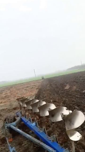 Video_10447235342135.mp4