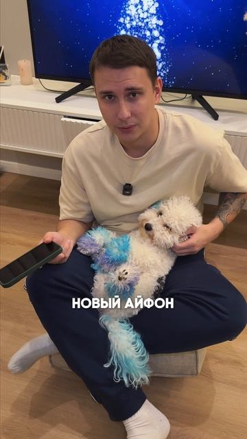 Apple или Android?