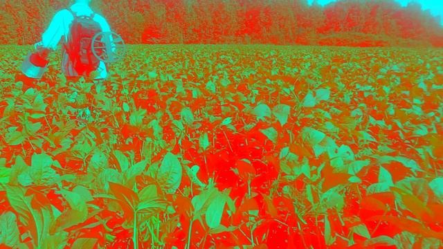 5198c04b2470ac32479e98b336e0701b