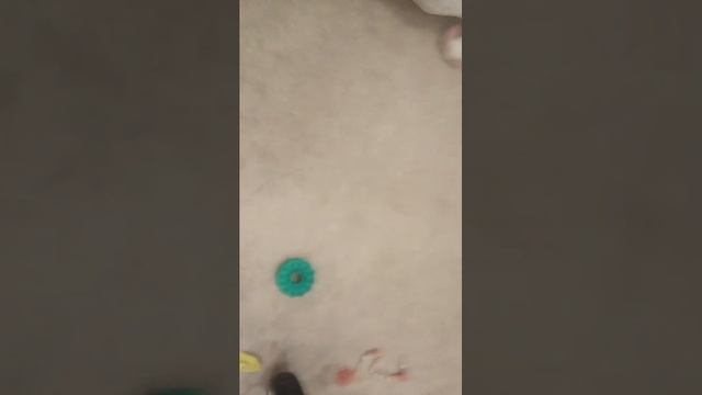 влог с Алисаи