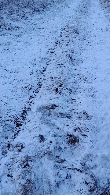 мотоцикл Драгстер