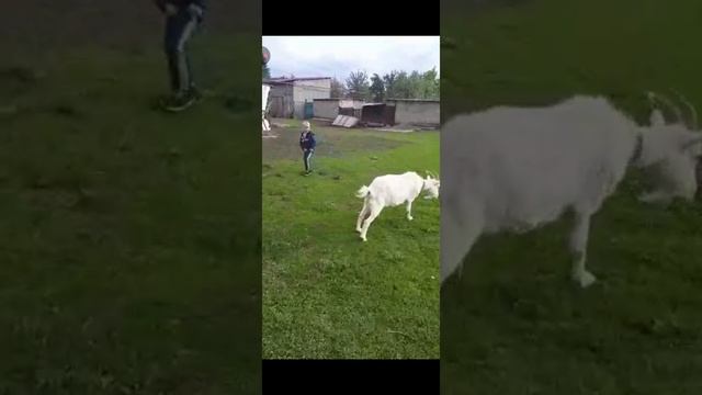 0016c50b3e0c8c0edcb657871e4ab1c8