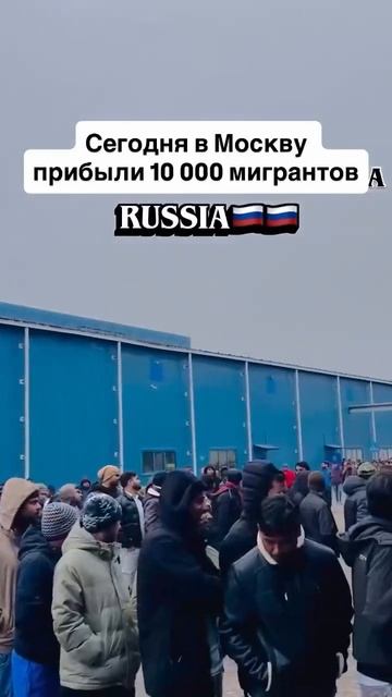 93e0442a9bd9b7d9823068dc1b28393f