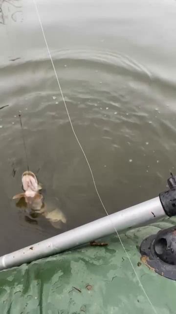 Ловля щуки в зимнее время