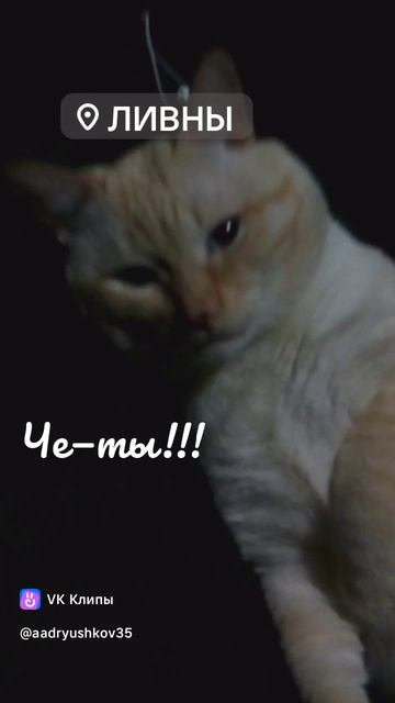 было скучно Коксу 😁