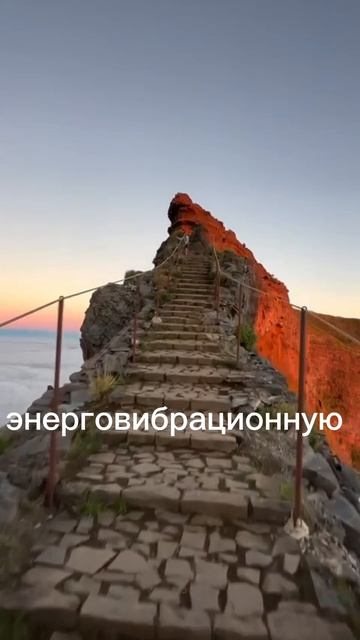 1f860ba683cacccb33caec98ef965a26