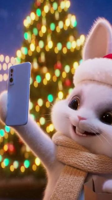 Катарина Ферейра Бомбический день