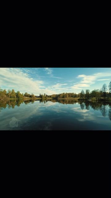 Lake. #shorts #short #shortvideo