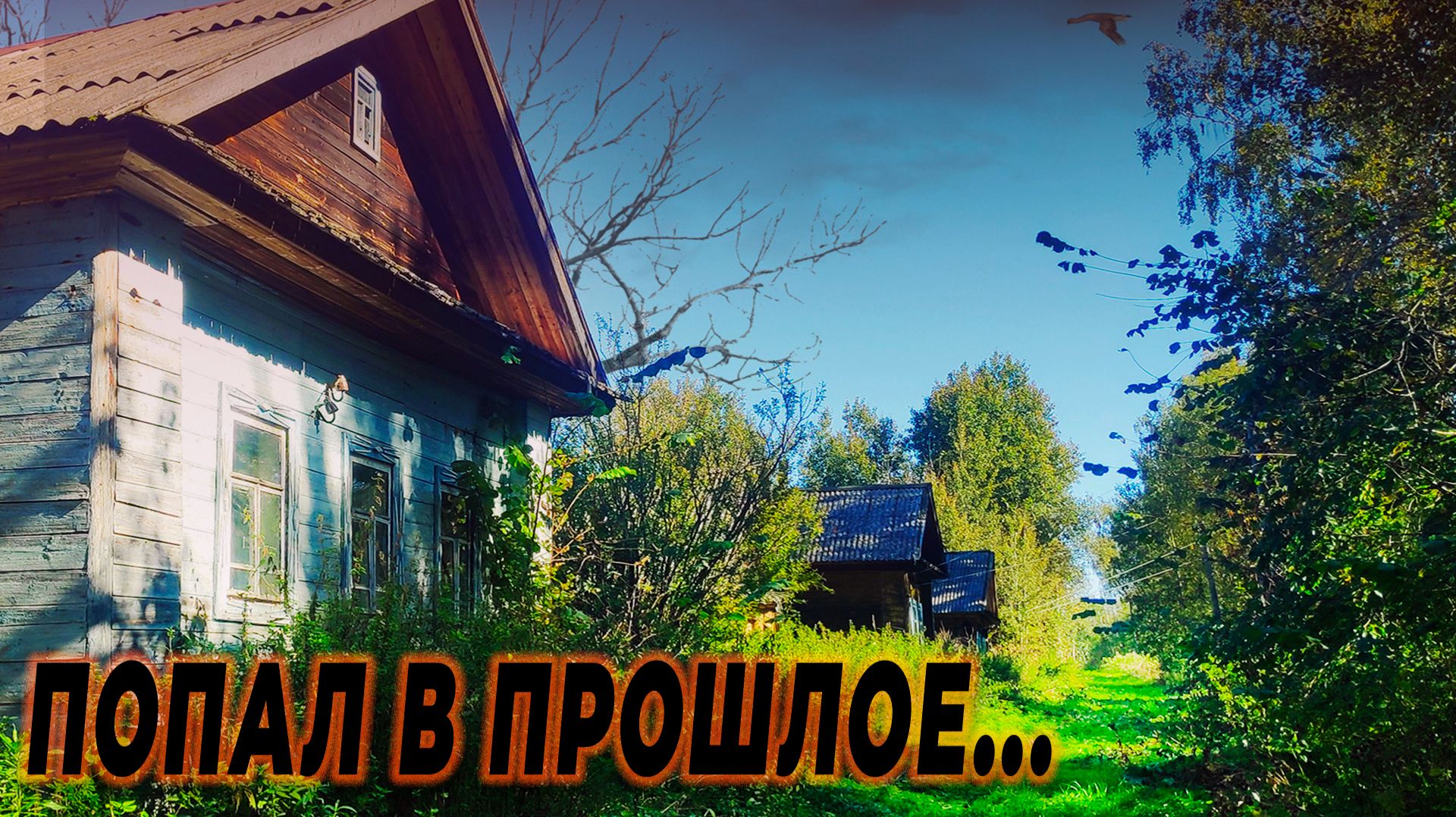 В ДОМАХ ЕЩЕ МОЖНО ЖИТЬ, ВОКРУГ КИПИТ ЖИЗНЬ А ПРО ЭТУ ДЕРЕВНЮ ВСЕ ЗАБЫЛИ