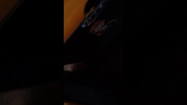 мои любимые игрушки