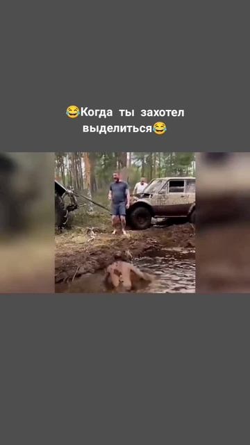 Лучшая подборка номер 5