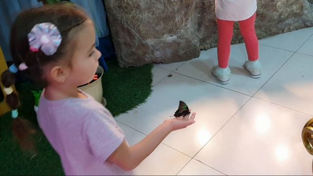 B5096df1850a9f962be9a7e3139fbd32