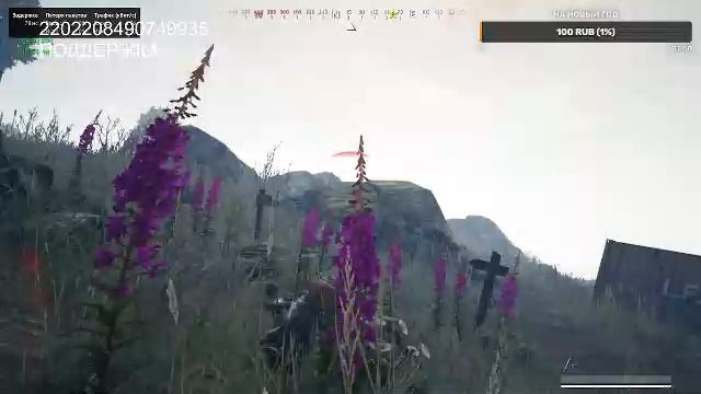 Играю в новую игру Вигор