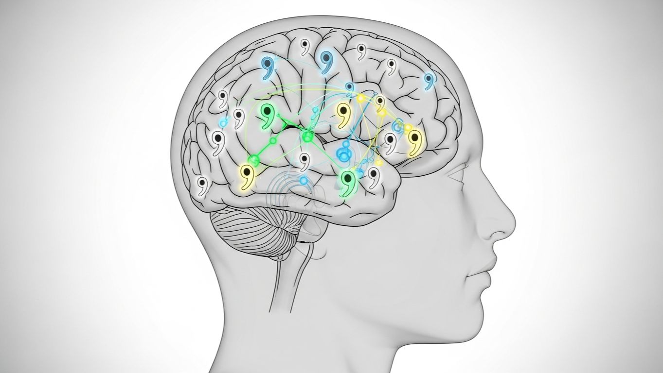 Токсоплазма — паразит, который тайно управляет твоими эмоциями