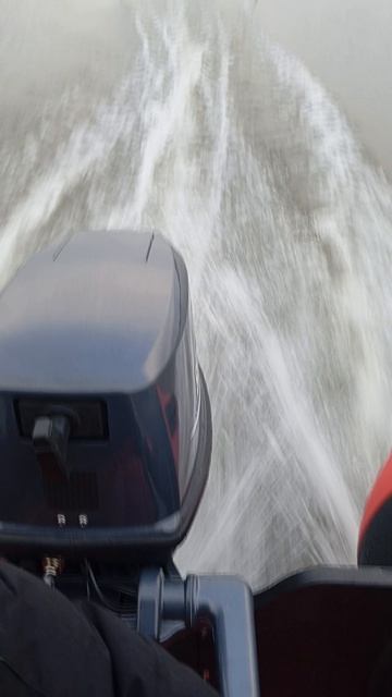 Gropper 350  9.8 Sea-pro 3 трим