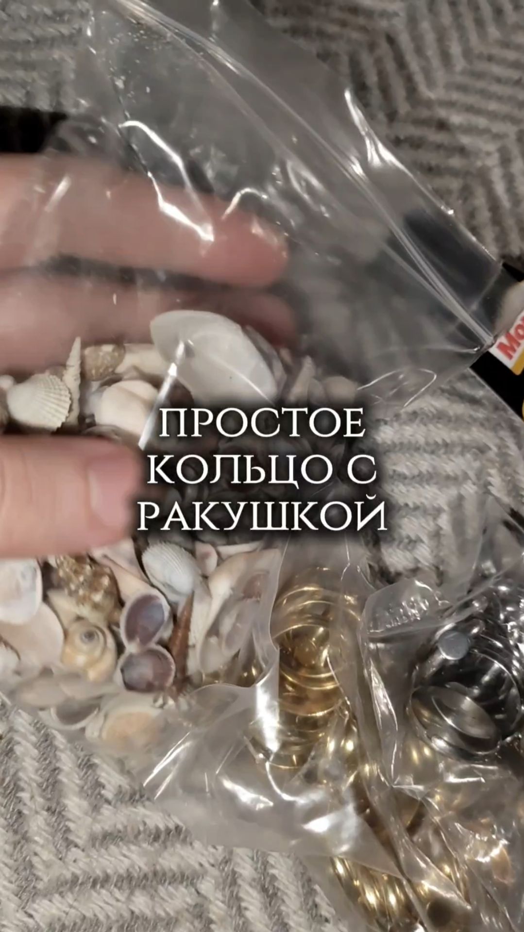 Простое кольцо с ракушкой