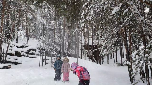 Fc7f1ca8643cade7344b7be6be2d9244